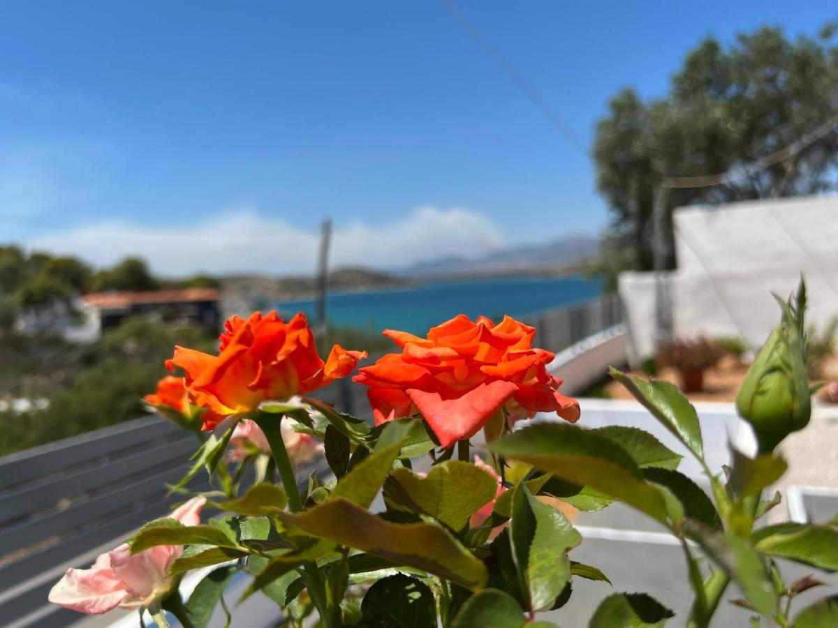 Oceanus Summer House Salamina Exterior photo