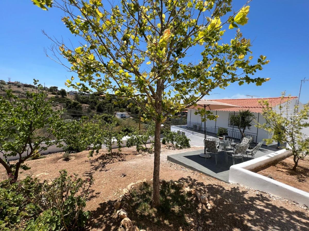 Oceanus Summer House Salamina Exterior photo
