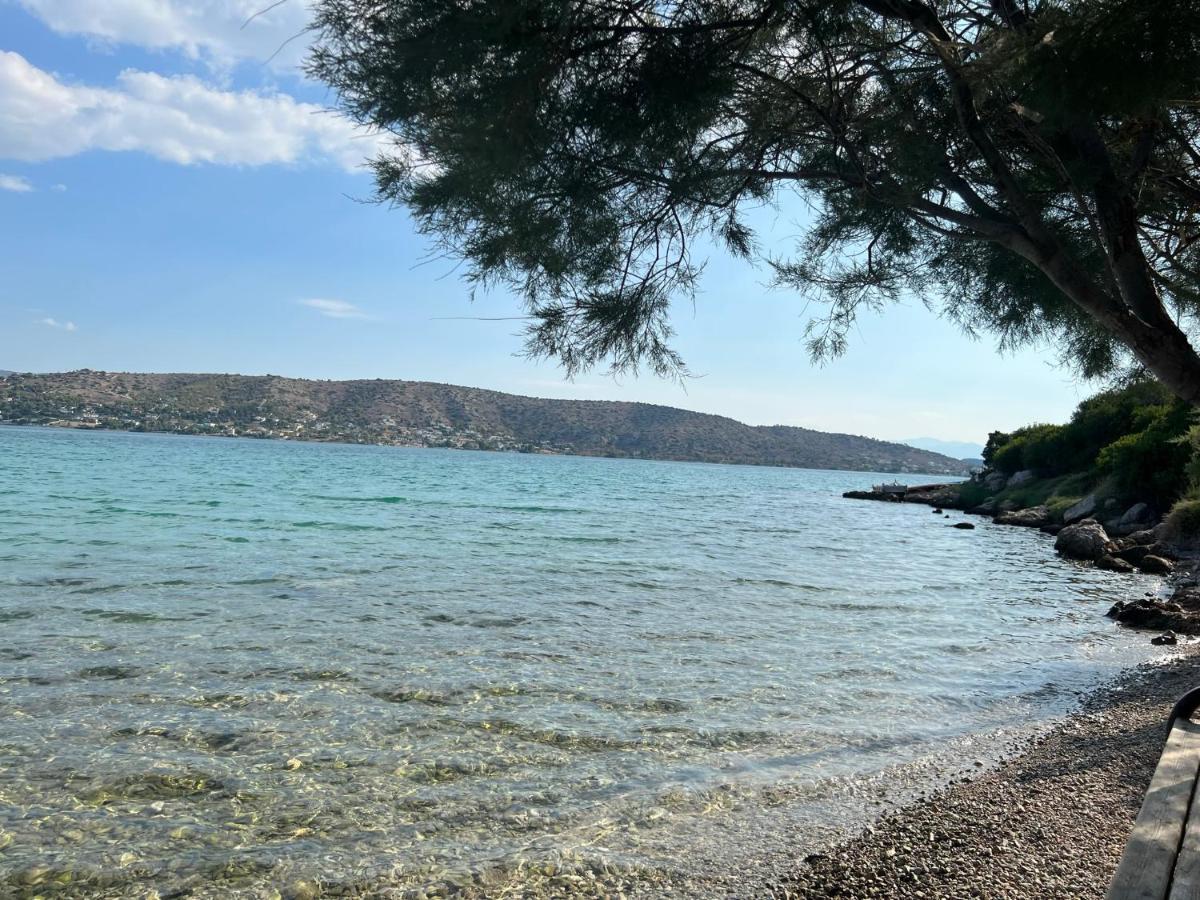 Oceanus Summer House Salamina Exterior photo